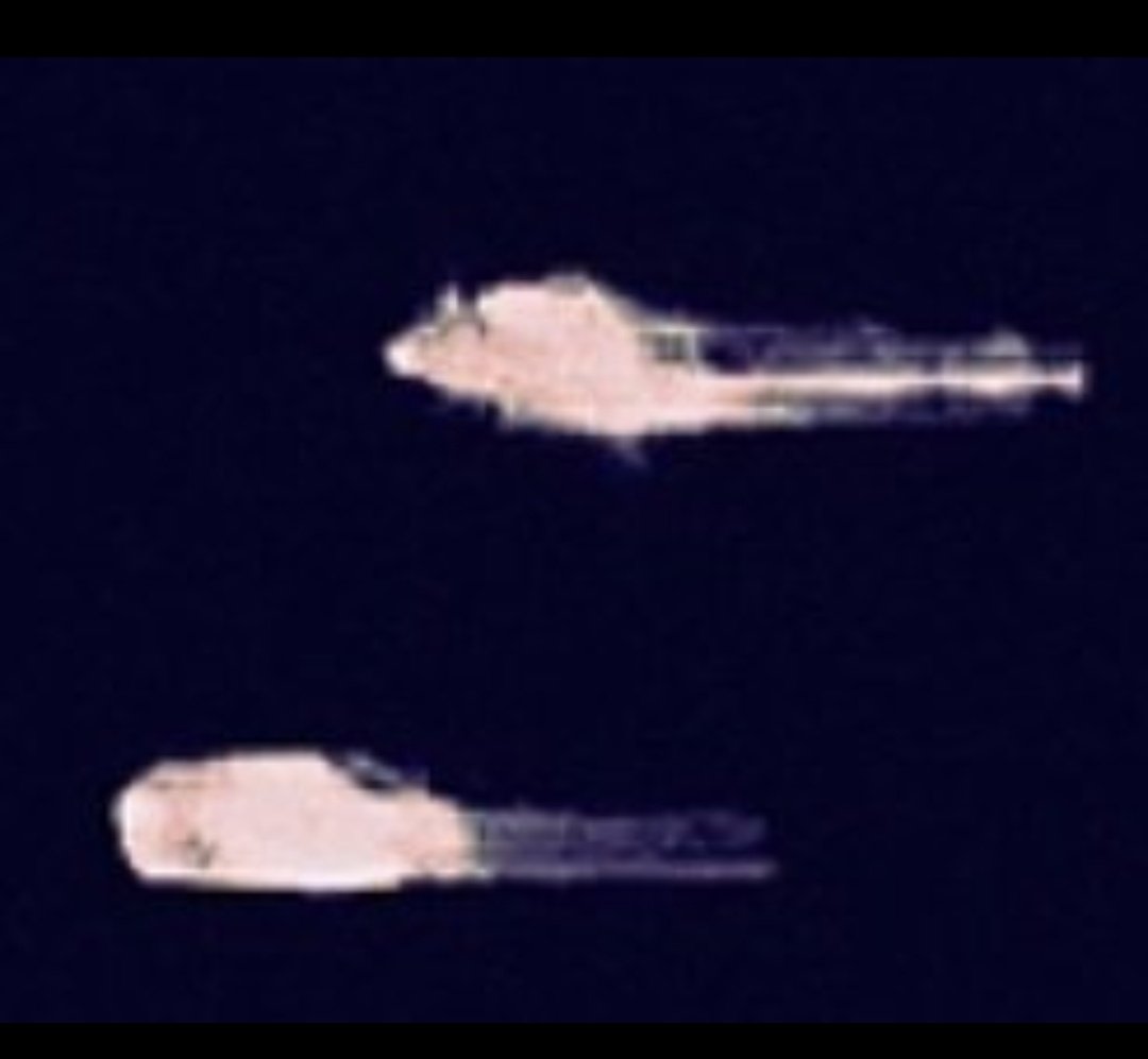 UFO13001's tweet photo. #ufo #ufotwitter #uap #uaptwitter #UFOSightings #ufology #news
 #uapx  #ufotwitters #uaptwitters
#ufos #UAPs #ufoX  near the moon. Closeup https://t.co/cs9ej6PW2Z