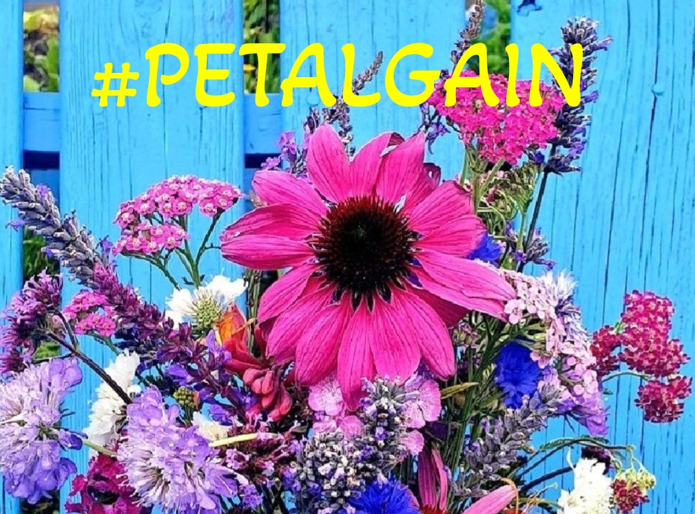 #PETALGAIN
@swydersk
@Spencerjames211
@JIMENAC__
@WALLI27
@bluea125
@GRAHAM15583070
@monicampon
@nuvisionquestt3
@NewCarlonet
@MARTHA_CAN2
@nuvisionquestt2
@Siogo61
@moni_dollnature
@coffee_love462
@Da__Eliz
@MarthaCandia21
@MoniT__
@ranasilvia63
@Followers_Love1
@lumpie125