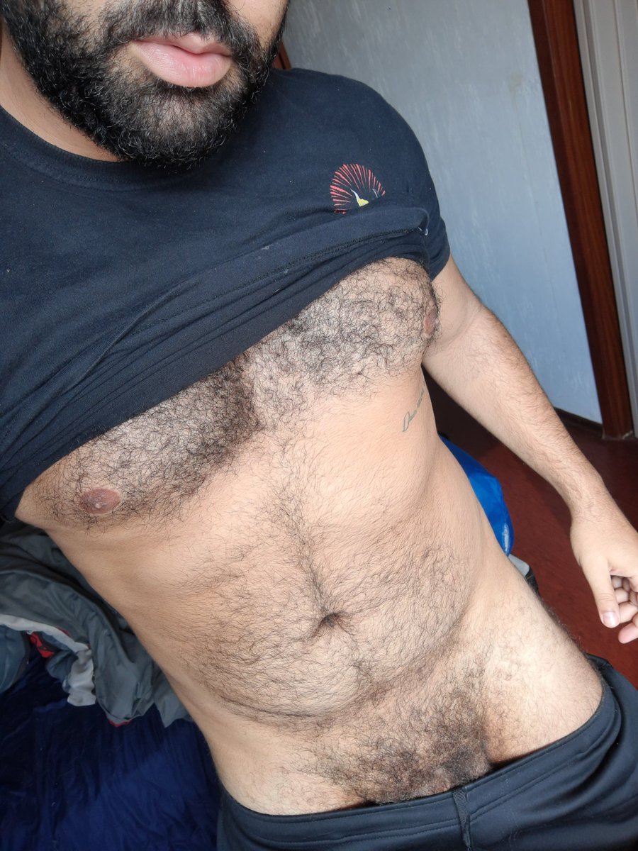 PeludoSP.vers tweet media