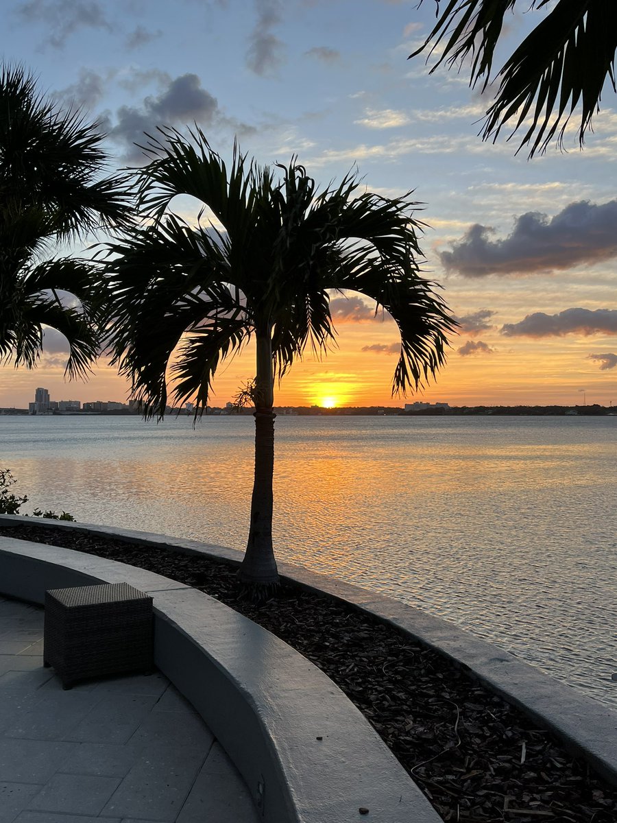 Jared Clark tweet media