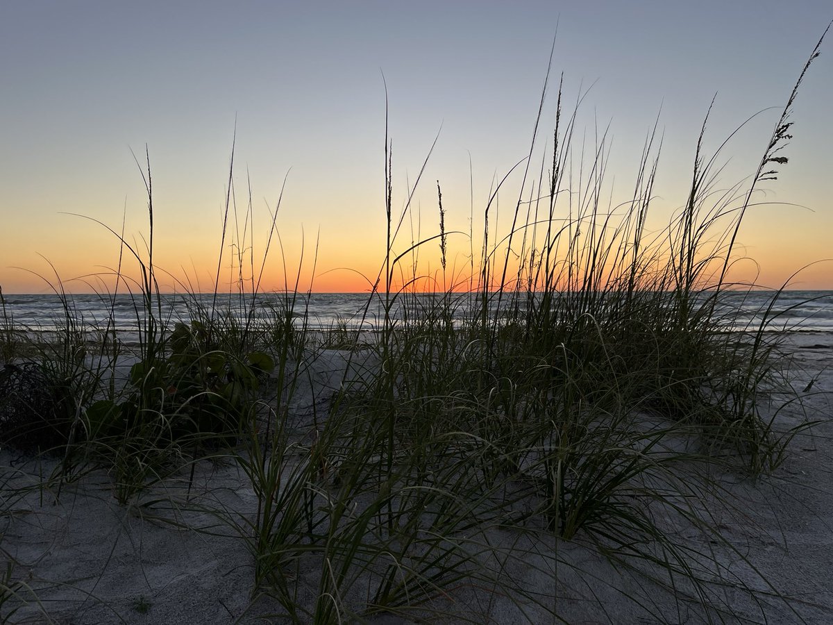 Jared Clark tweet media