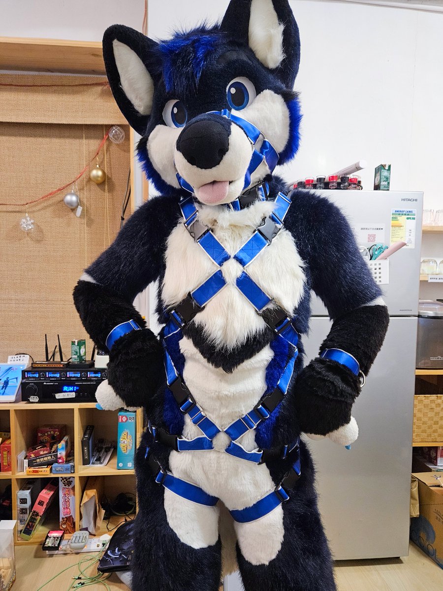 am I looking good?😳#FursuitFriday