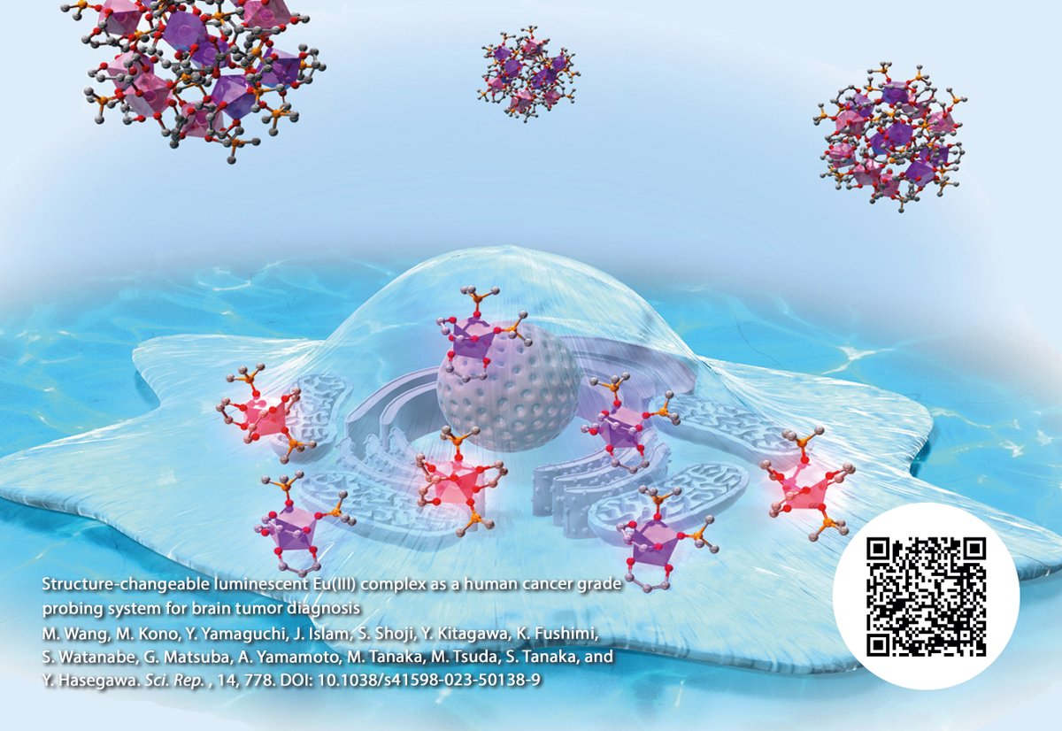 This month's research postcard showcases a 'cancer GPS' method that determines how malignant a model glioma tumor cell is by analyzing the light emission of luminescent europium complexes. Learn more below! icredd.hokudai.ac.jp/research/10383 #cancerresearch #cancer