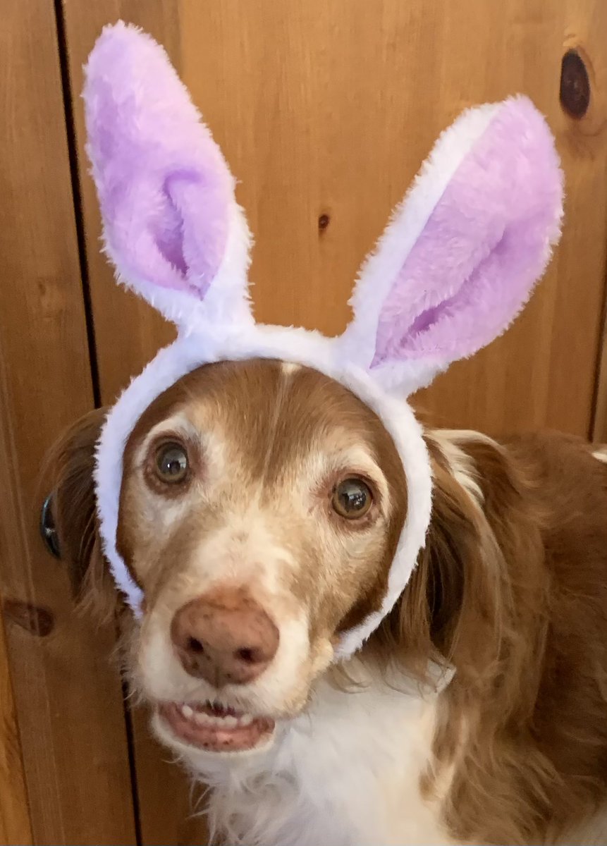 Tami Anderson tweet media