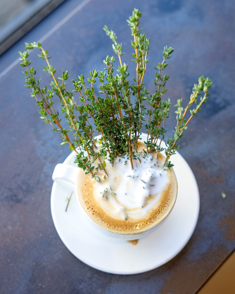 It’s time for thyme - Have you tried our Thyme Latte yet?? ☕️🌿

It’s a delicious twist on a classic latte that’ll put you in a springtime mood. Plus, we have more where that comes from on our seasonal menu! Be sure to stop by and find your new fav. 👀