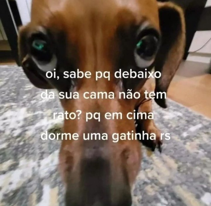 Memes para marcar ele(a) (@memeparaoarroba) on Twitter photo 