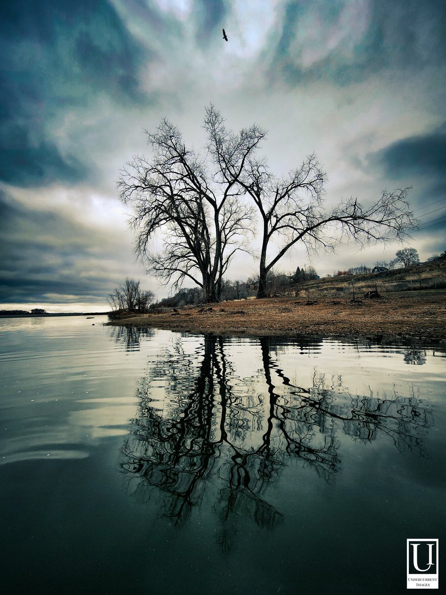 Undercurrent424's tweet photo. To celebrate the grand opening of our online store, we're giving away a stunning 16x20 poster of our flagship photo "Two Trees"!
Check us our on Facebook to entry contest!
https://t.co/WF6xPL3Is7
#undercurrentimages #photography #photo #photographer https://t.co/If5LbuzSli