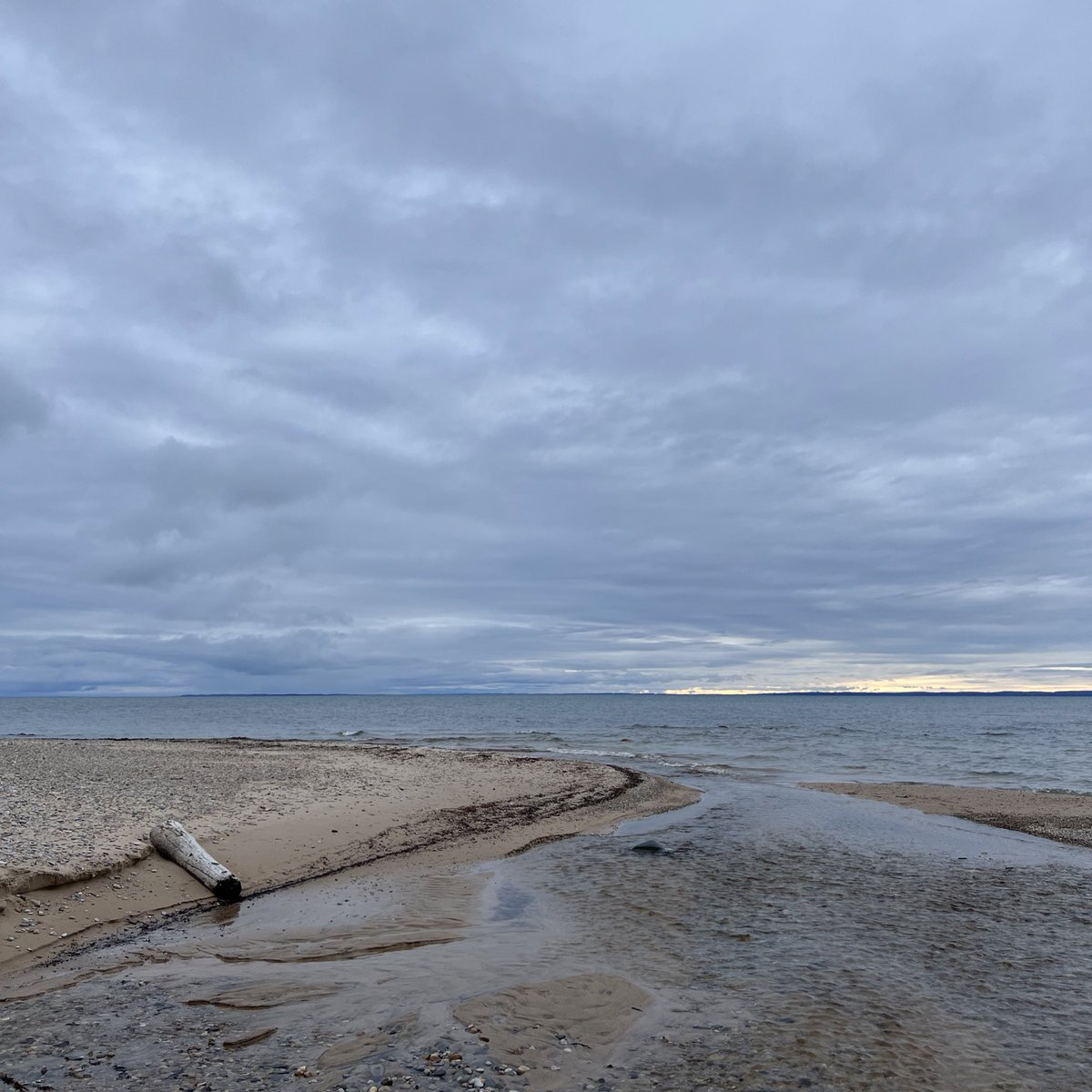 Morgan Skop tweet media