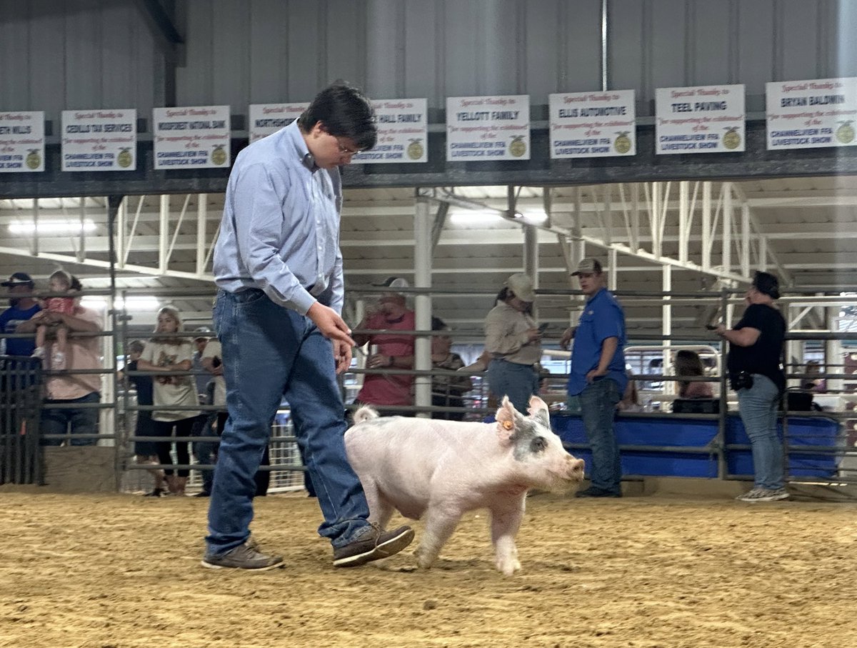 ChannelviewISD's tweet image. Happening now: 🐷 Swine Show at the 61st annual Channelview FFA livestock show &amp;amp; auction! 

🎉 Don't miss out on the excitement! #ChannelviewFFA #SwineShow #LivestockShow