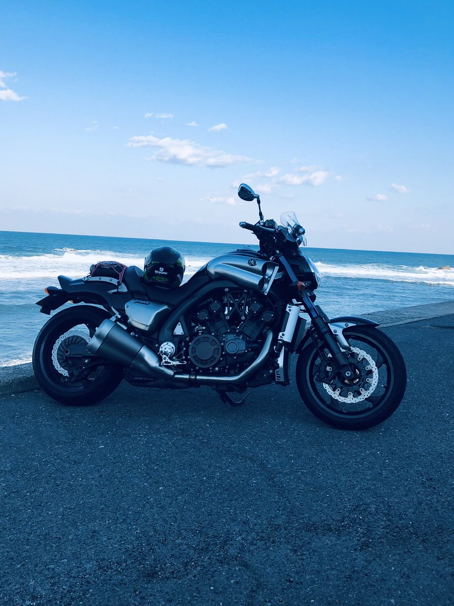 マンドレーク tweet media