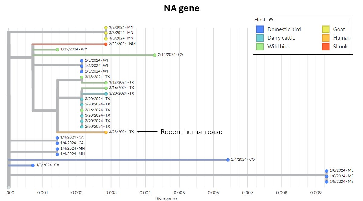 Thread by @EmilyAnne_Smith on Thread Reader App – Thread Reader App