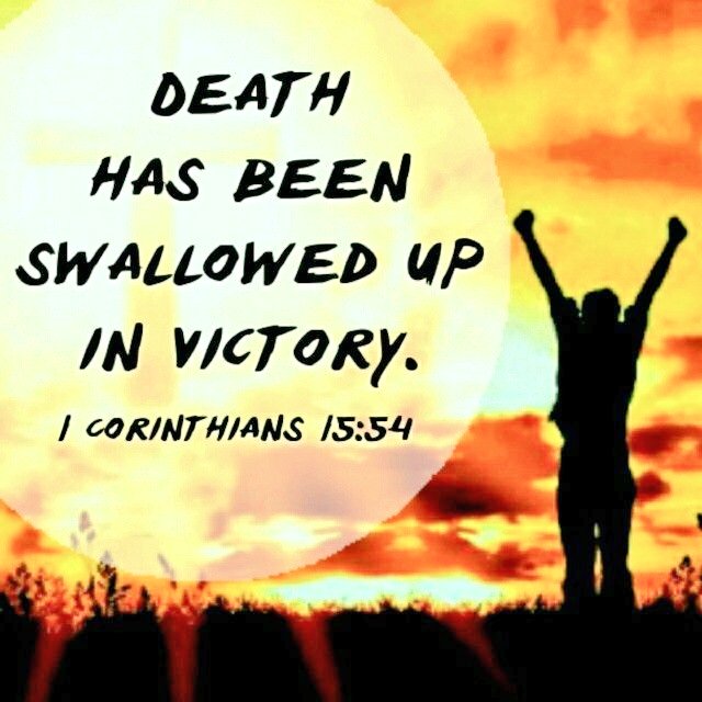 #Pray❤ Father, in Jesus' name, I give all praise to You, for through the resurrection power of Your Holy Spirit, I have hope for eternal life, I have assurance You have forgiven me for my sins, I have power to do what You called me to do, and I have victory over death. #Amen❤️