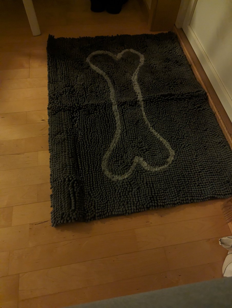 Doramusicana's tweet image. A new welcome mat for dogs with wet paws ⛄🐾🦮 #snow #rain #welcomemat #dogmom #pawsome #april #longingforspring #goldenphotos