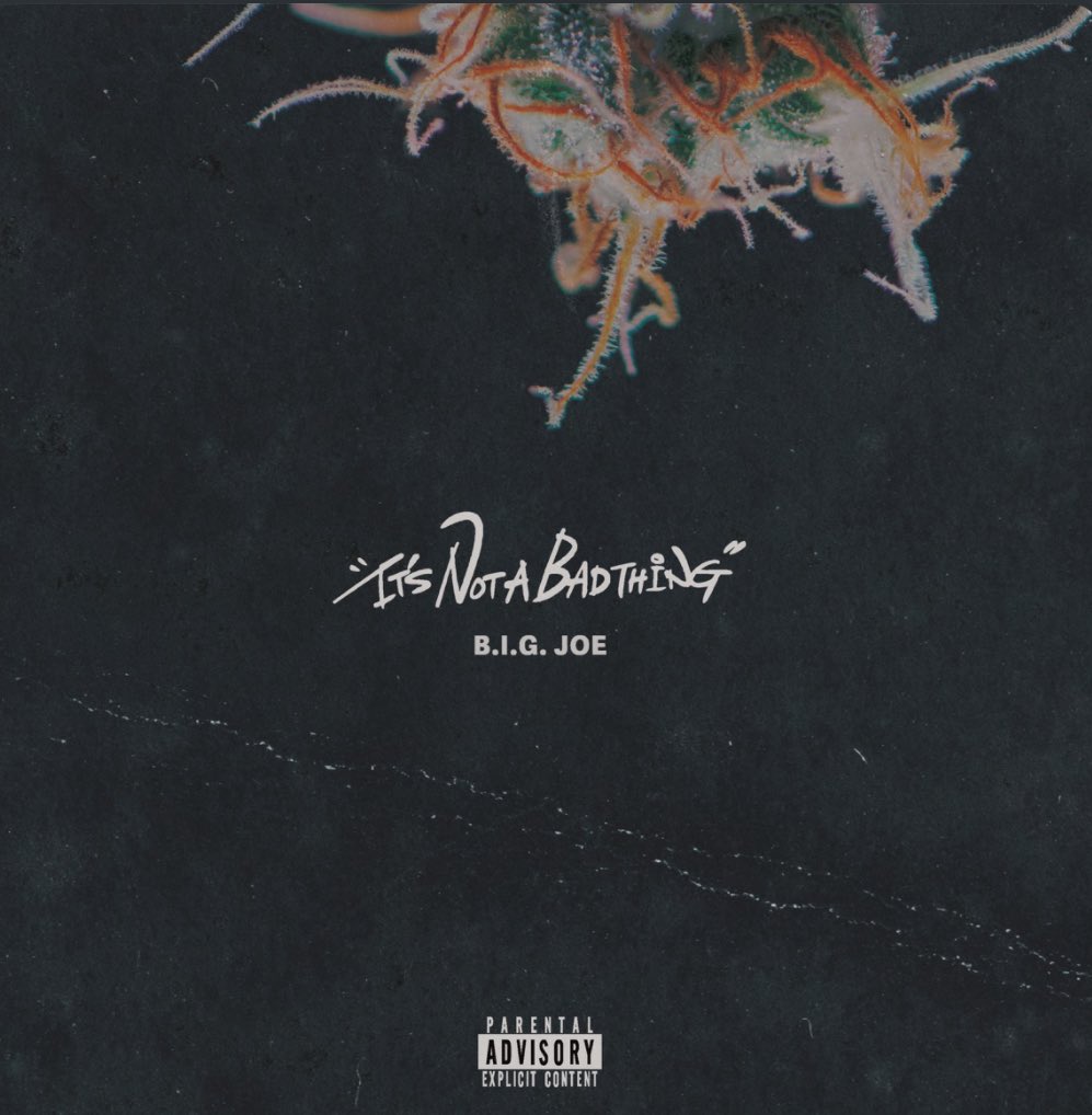 DukePimps's tweet image. やっぱりこの人は健やかに幸せになりつつも安らげるトラックと共にラップして欲しかったが…やはり牙は研ぎ澄まされてんのな。すげえわ。
#NowPlayingOnMaxFM #BigJoe #ItsNotABadThing