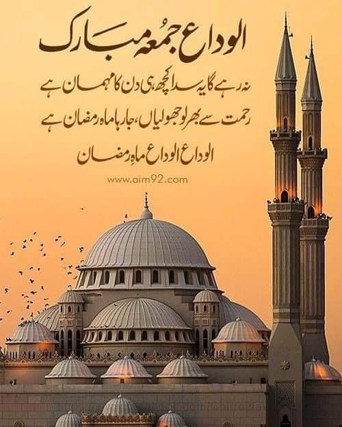 sofiaRealx's tweet photo. Aslamualikum 
Good morning https://t.co/oYtmR9E9mT