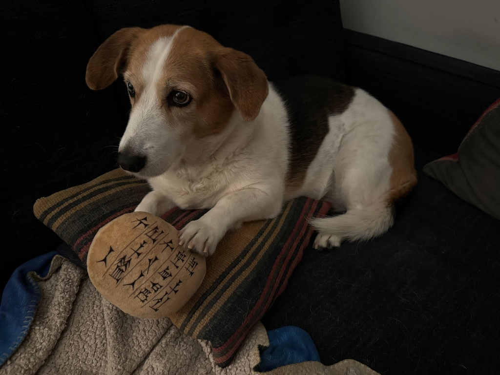 ISAC_UChicago's tweet photo. But sometimes Tuppi does not want to travel! As we see, here is Tuppi hanging out with some of their many friends! https://t.co/Ix1dE0cdxY