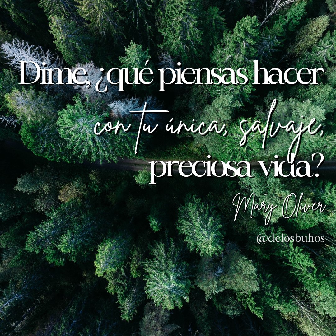 .
Dime, ¿qué piensas hacer
con tu única, salvaje,
preciosa vida?

#MaryOliver
~
#LeaPoesía #LaAlegríaDeLeer #RegalaUnLibro 📚
#LeerEsVivir #PromociónDeLectura #México🇲🇽 #Uruguay🇺🇾 #Venezuela🇻🇪 #Portugal🇵🇹 #Brasil🇧🇷 #España🇪🇸 #Argentina🇦🇷 #EEUU🇺🇸