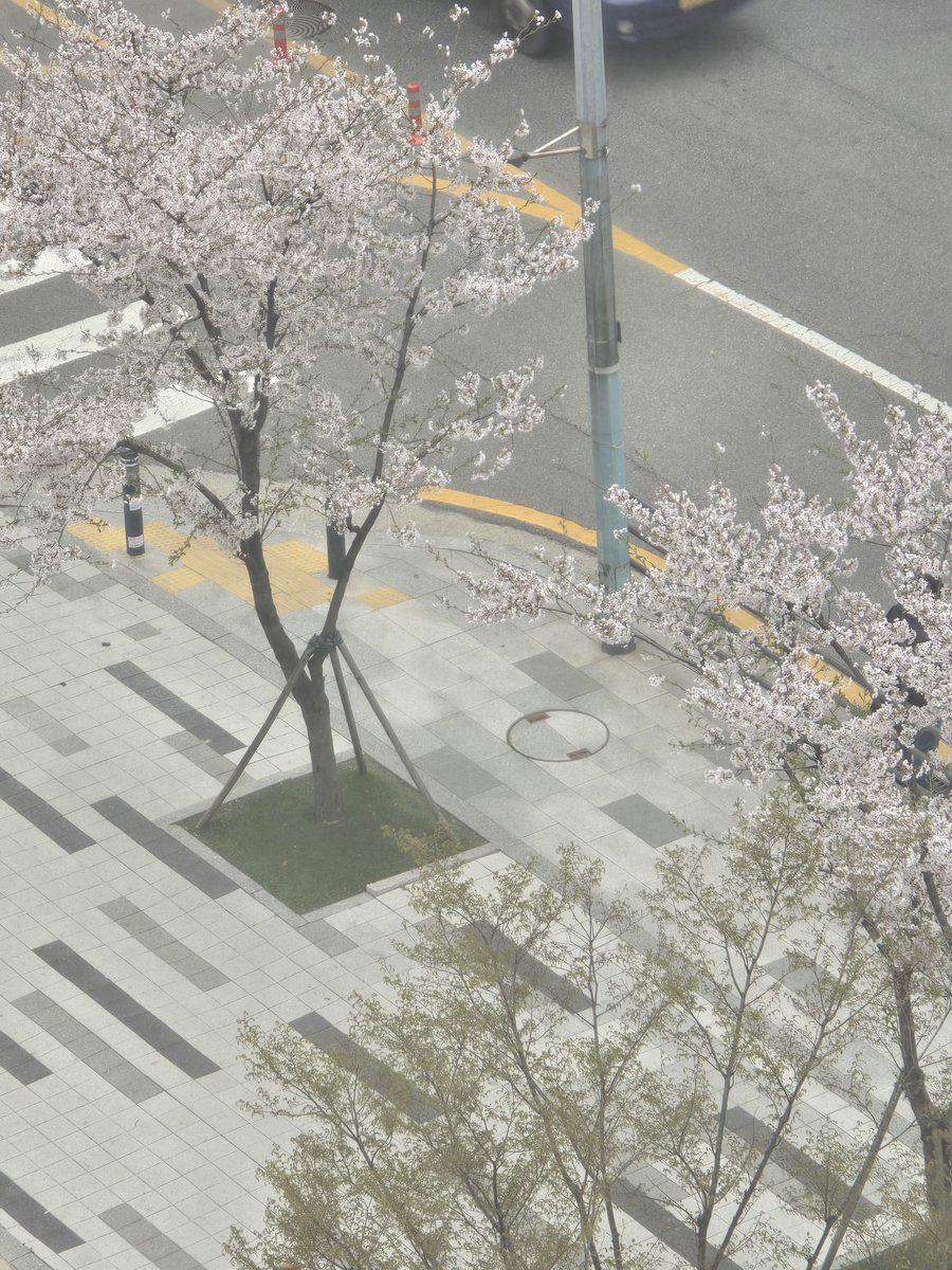 [ #정원's Post ] 240405

#JUNGWON: They bloomed prettily

<a href="/ENHYPEN_members/">ENHYPEN</a> <a href="/ENHYPEN/">ENHYPEN OFFICIAL</a> #ENHYPEN #엔하이픈
