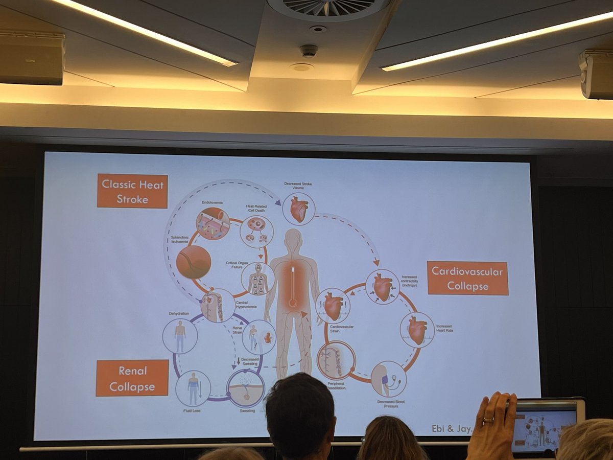 rebeccakozor's tweet photo. Day 1 of #iDEA24 is proving to be excellent. We must work together as doctors in Australia to build momentum and fight climate change @DocsEnvAus @NickWillRun @ollie_jay13 @Prof_NickTalley https://t.co/jFJzEek4KB