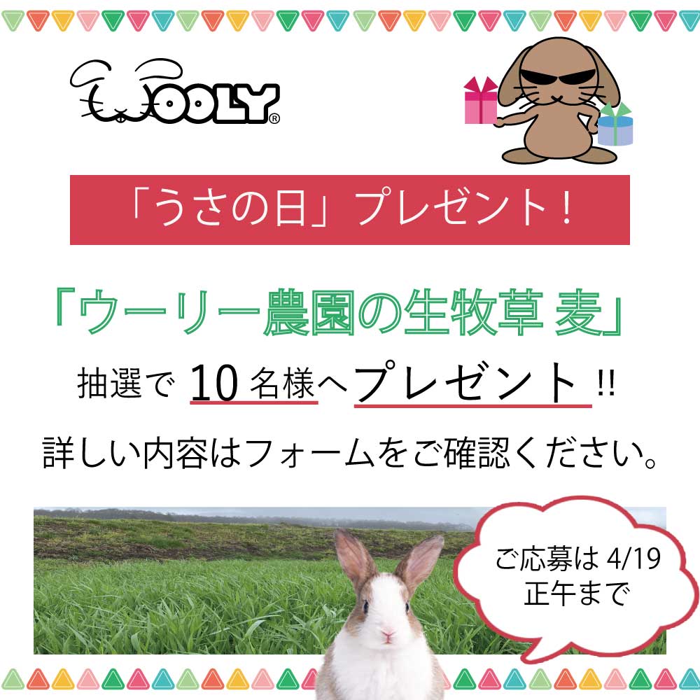 WOOLY（ウーリー） ㅣ うさぎの食彩工房 tweet media