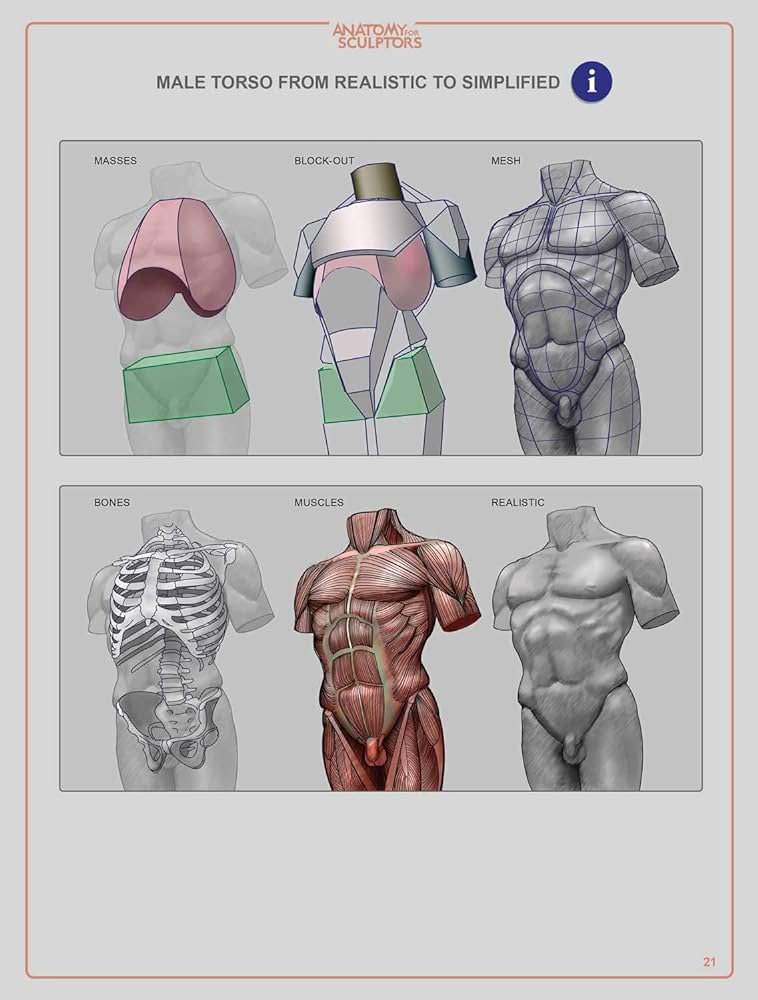 @Tlauz_ani I strongly rely on this reference for drawing bodies.