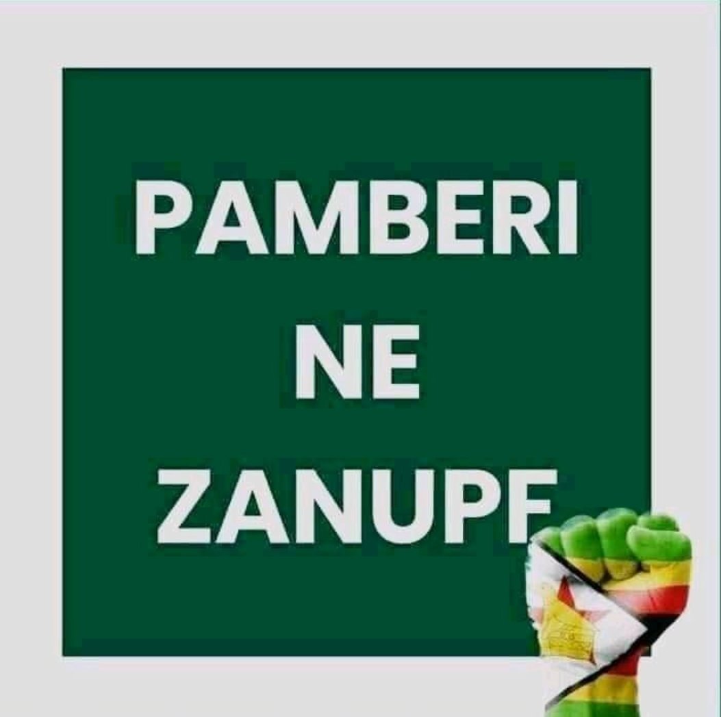 Zim_Vision2030's tweet photo. The Zanu PF MidlandsProvincial Vice Chairman, Cde Lewis Matutu yesterday donated a solar powerED borehole in Ward 3 Redcliff Constituency & he said ," all the developments are being done by the people's party hence pple must #VoteZanu. https://t.co/qkcfURNBUL