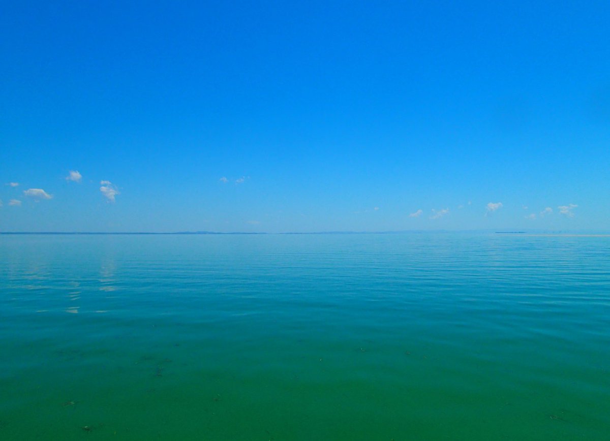 AustralianCoastalSociety (@austcoastalsoc) on Twitter photo Bruce Thom's latest blog covers 'Urban water quality monitoring' that you can read here:
australiancoastalsociety.org.au/acs-blog/2024/…
#UrbanWater #WaterQuality #WaterMonitoring #WaterQualityMonitoring
#AustralianCoastalSociety #BruceThom Bruce Thom's latest blog covers 'Urban water quality monitoring' that you can read here:
australiancoastalsociety.org.au/acs-blog/2024/…
#UrbanWater #WaterQuality #WaterMonitoring #WaterQualityMonitoring
#AustralianCoastalSociety #BruceThom
