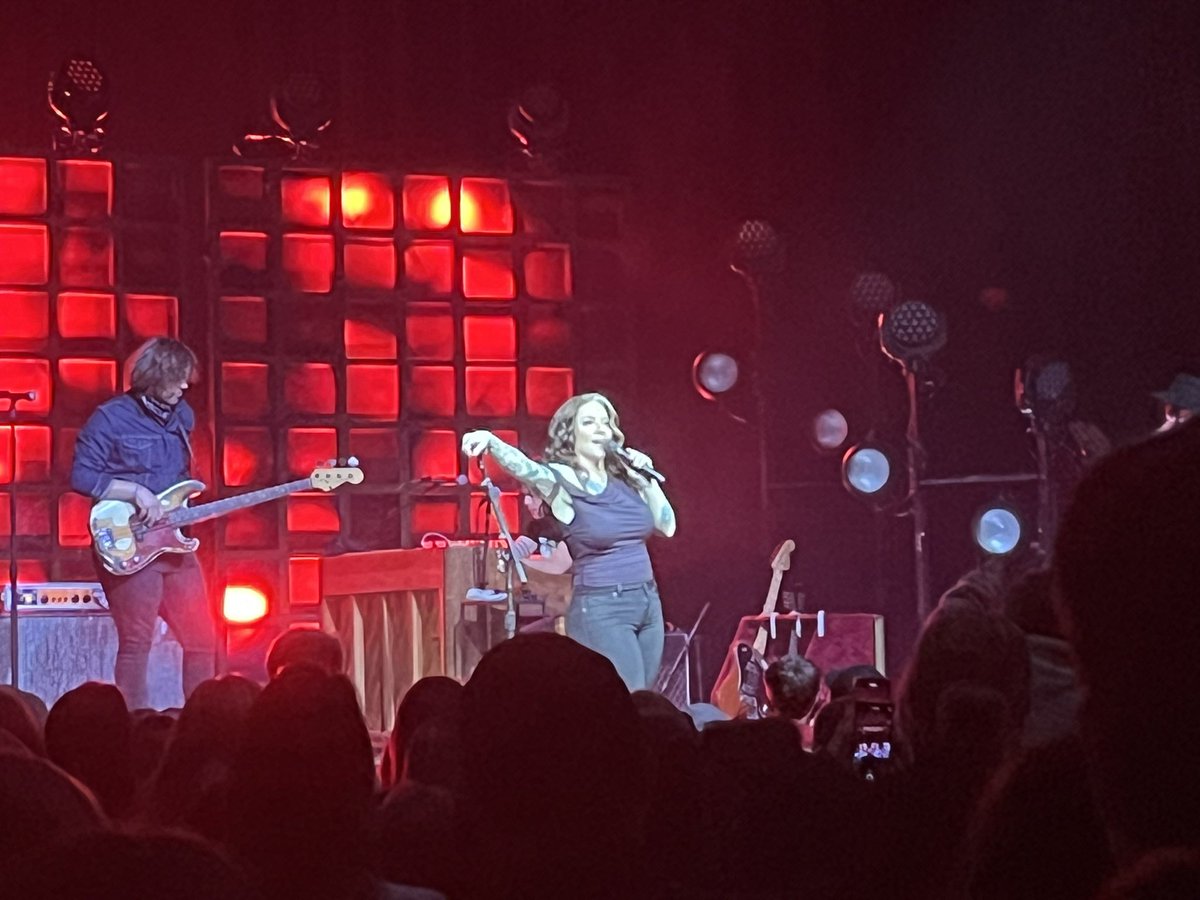 DolphinDad tweet media