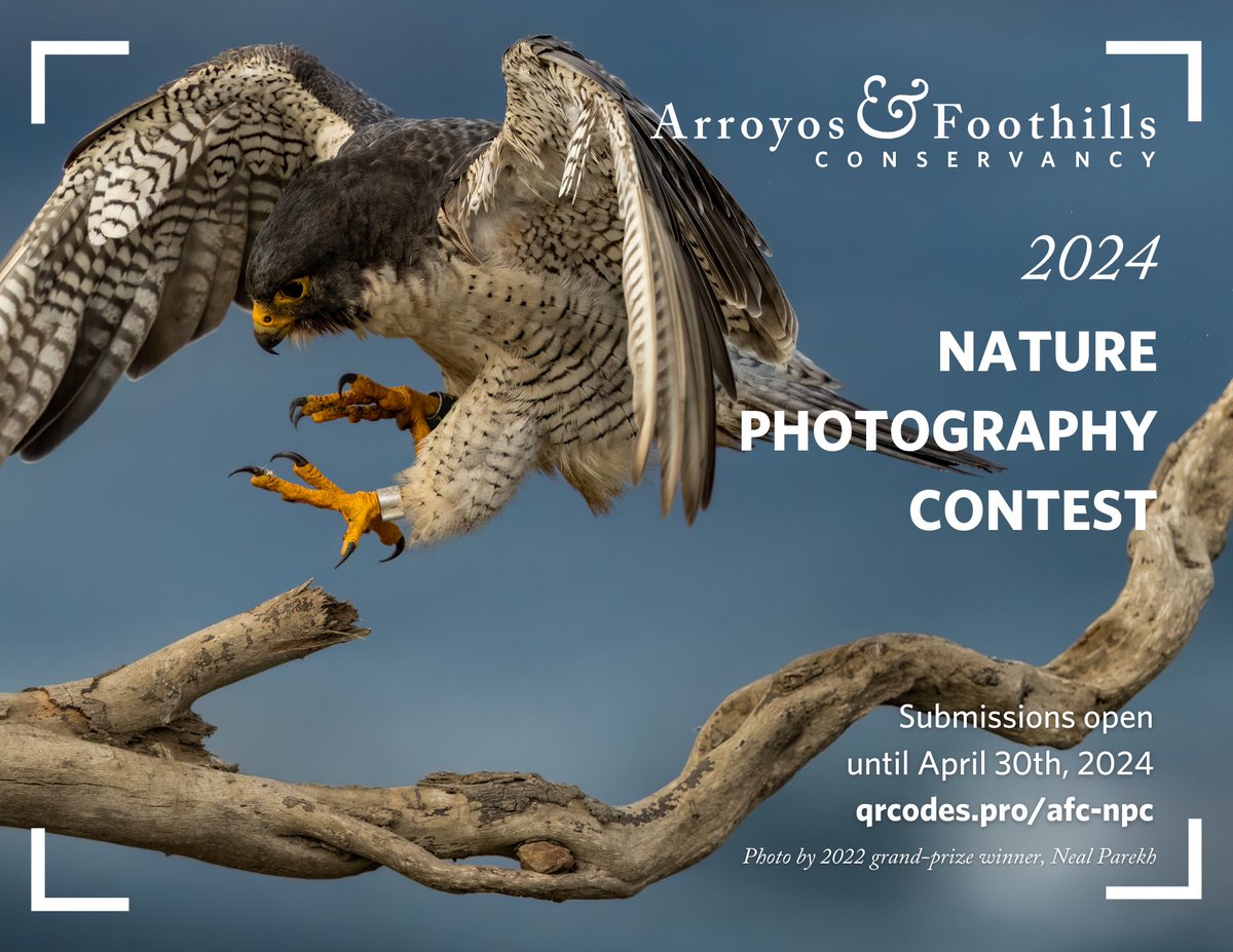 📷 Celebrate the power of photography by submitting your images to @arroyofoothills' Nature Photography Contest! Free to enter, eligible photographs must have been taken within the last five years in Southern California—submissions are open 'til April 30: qrcodes.pro/afc-npc