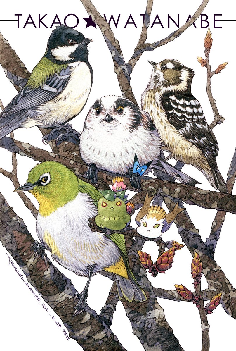 「『ジーっと見ている』野鳥は「混群」といって種類の違う野鳥で集まって移動することが」|渡辺孝夫のイラスト