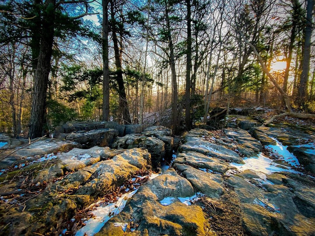 Question: Why are trees so popular in spring time? Answer: They have a lot of buds. Find things to do in St. Catharines this week here: lovestc.ca 📸 genevre.arsovsky 📍 Rockway Conservation Area