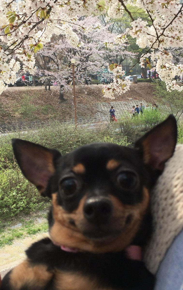 teamDDUDDU0210's tweet image. 사진 실력이 많이 늘었음…