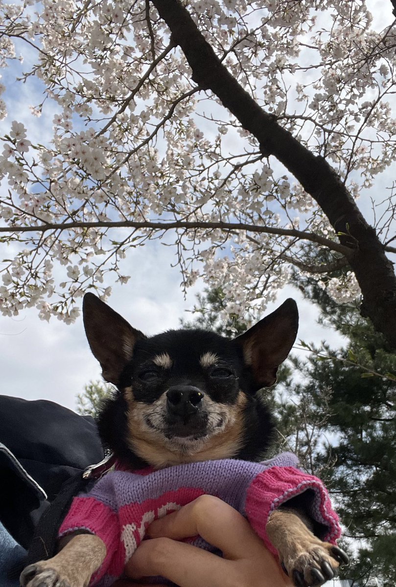 teamDDUDDU0210's tweet image. 사진 실력이 많이 늘었음…