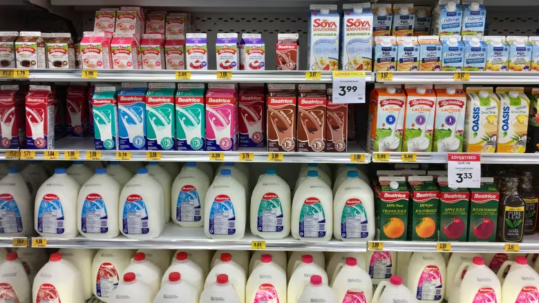 Is milk safe to drink? Can you catch bird flu from beef? What to know about H5N1 cattle outbreaks cbc.ca/news/health/bi… @LaurenPelley CanadaHealthwatch.ca — Canada's hub for health news 🍁