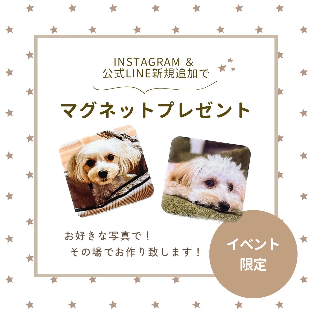 _sumadeco's tweet photo. 【犬祭りテラス🐶🧡】

日にち : 4月14日(日)
時間 : 10:00-16:00
場所 : テラスゲート土岐(土岐プレミアム・アウトレットすぐそば。土岐南多治見ICより1分。)
ブースＮｏ．28

すまでこブースではイベント限定🐶🐾
SNSフォローでマグネットプレゼント- ̗̀🎁 ̖́-
ぜひお立ち寄りください☺️🤍 https://t.co/P1NLTpfkfH