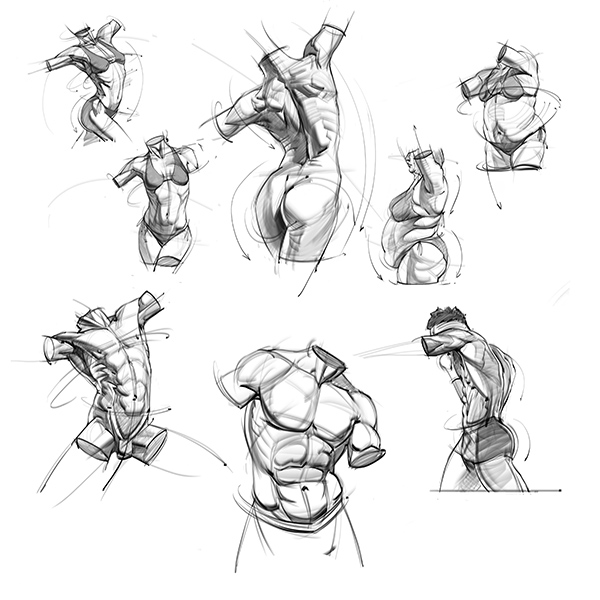saqomolo's tweet image. Torsos that I drew for my torso tutorials on gumroad and @prokotv Working on my next tutorials right now on the hands and feet:) #arttutorials #maletorso #femaletorso #art #anatomy #humananatomy #gesturedrawing #figuredrawing #gottogetbetter #lineart
