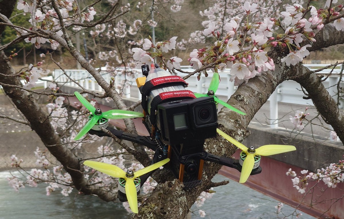 ssk2744's tweet photo. GG BONE Sakura🌸
#ggbone
#ggpocket
#ggfive
#ggballistic https://t.co/L6L3Uq9k07