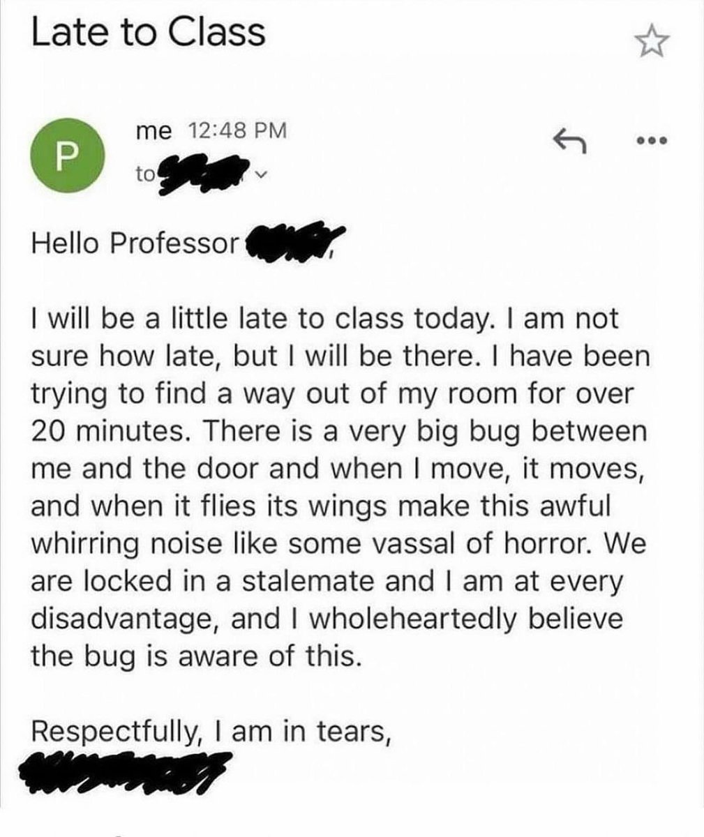 🕐HOURLY🕑 shitpost (@hourly_shitpost) on Twitter photo 