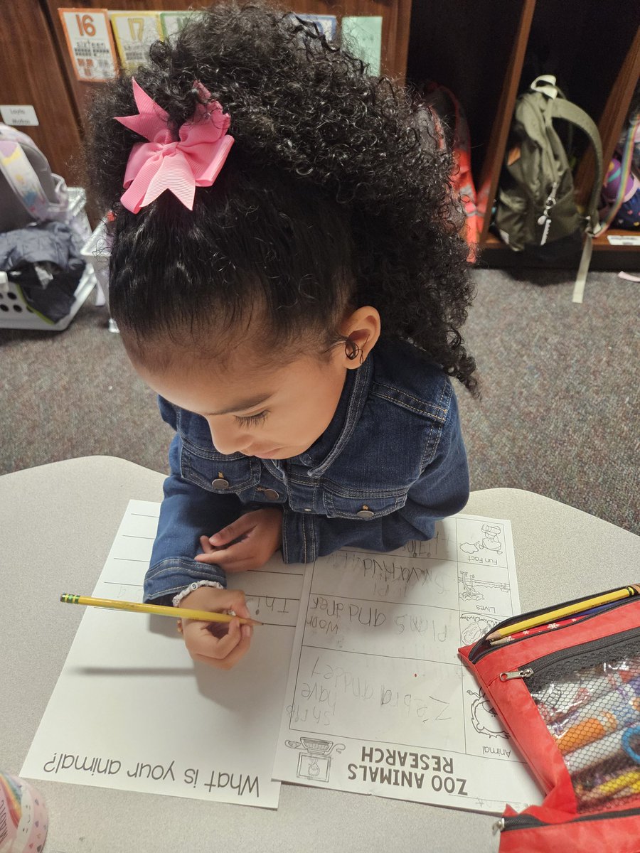 MaryBethBajikar's tweet image. This week, students picked their own animals to research. They did research, took notes, and started  writing an informational book  based on their research. 

It is so fun watching them. They are very passionate about their animal research!

@DLE_Lions 
#justgoodteaching