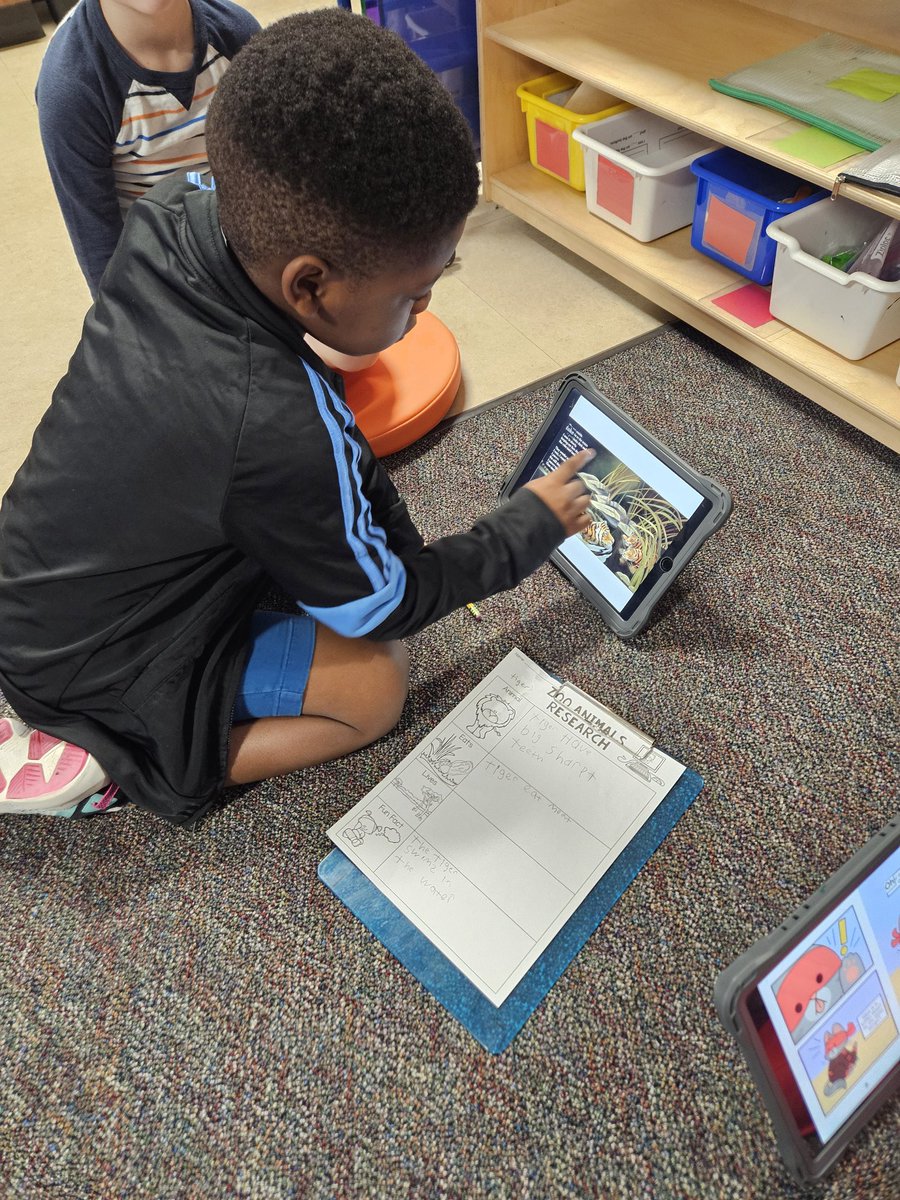 MaryBethBajikar's tweet image. This week, students picked their own animals to research. They did research, took notes, and started  writing an informational book  based on their research. 

It is so fun watching them. They are very passionate about their animal research!

@DLE_Lions 
#justgoodteaching