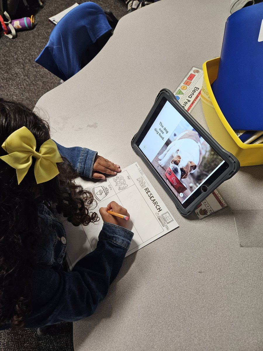 MaryBethBajikar's tweet image. This week, students picked their own animals to research. They did research, took notes, and started  writing an informational book  based on their research. 

It is so fun watching them. They are very passionate about their animal research!

@DLE_Lions 
#justgoodteaching