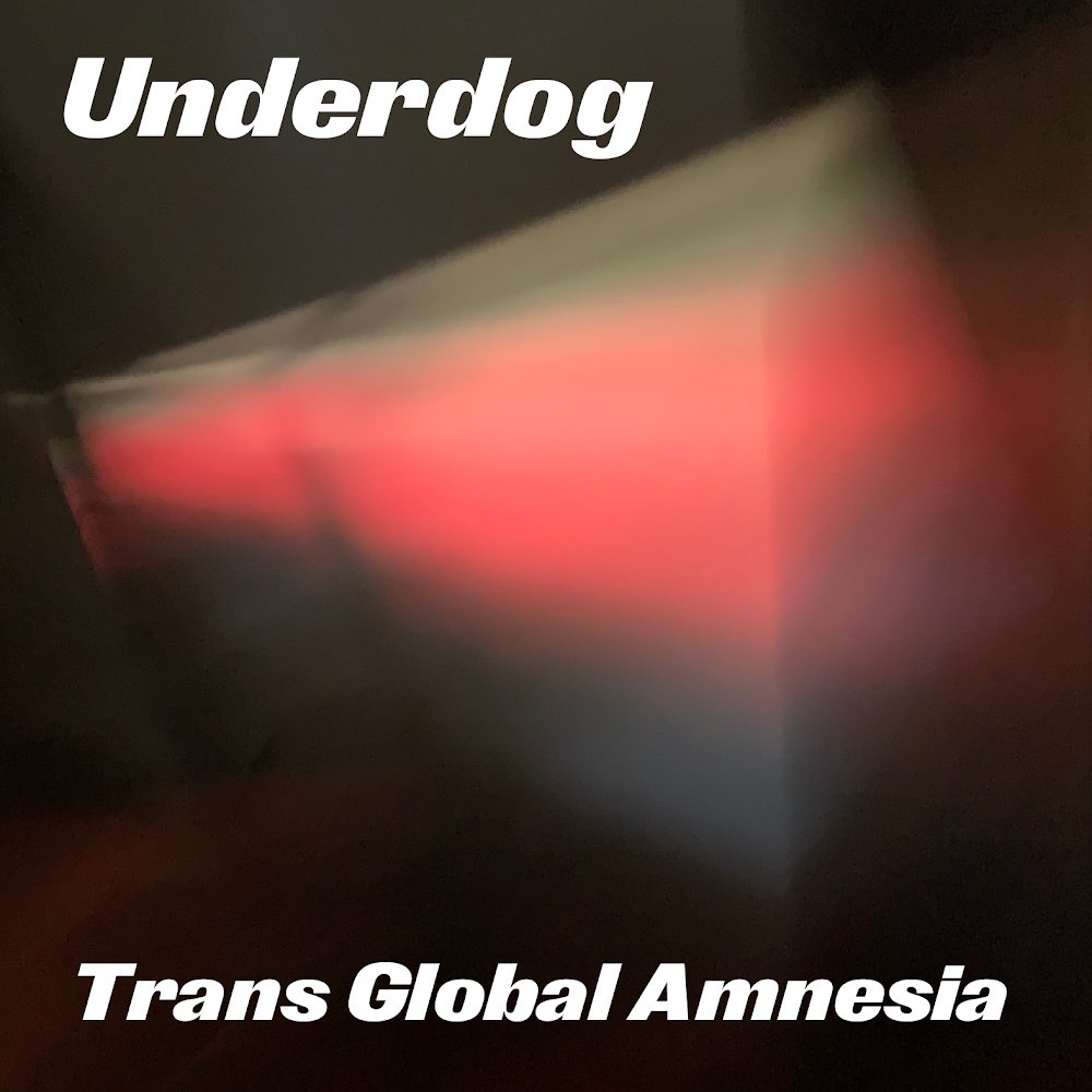 It’s your chance to get Something for Nothing! Bandcamp is waiving their fee again, and If you grab one of these Groovy t-shirts you’ll get a free download of our new album, 'Trans Global Amnesia' too... ✌️❤️🎶🐾 #BandcampFriday underdog2.bandcamp.com/merch/underdog…