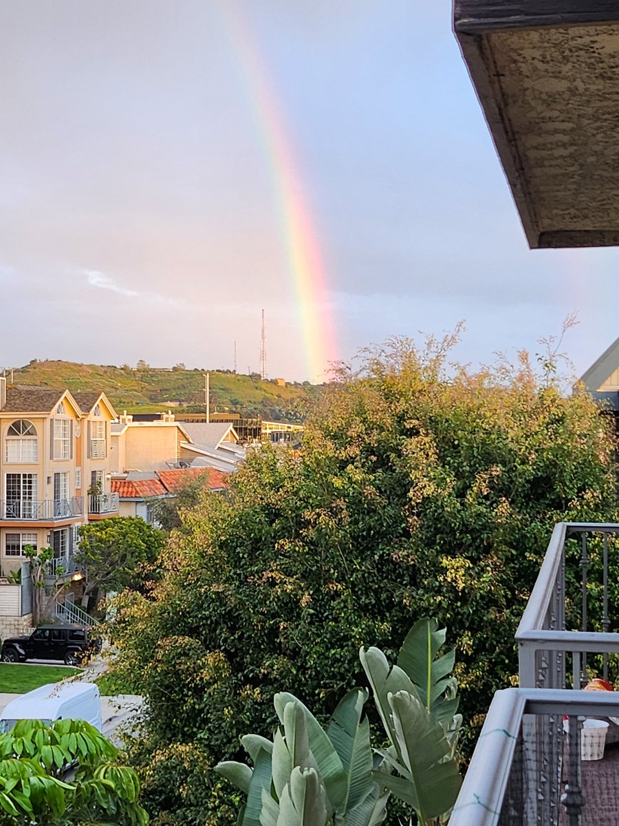 Jeannette Lee tweet media