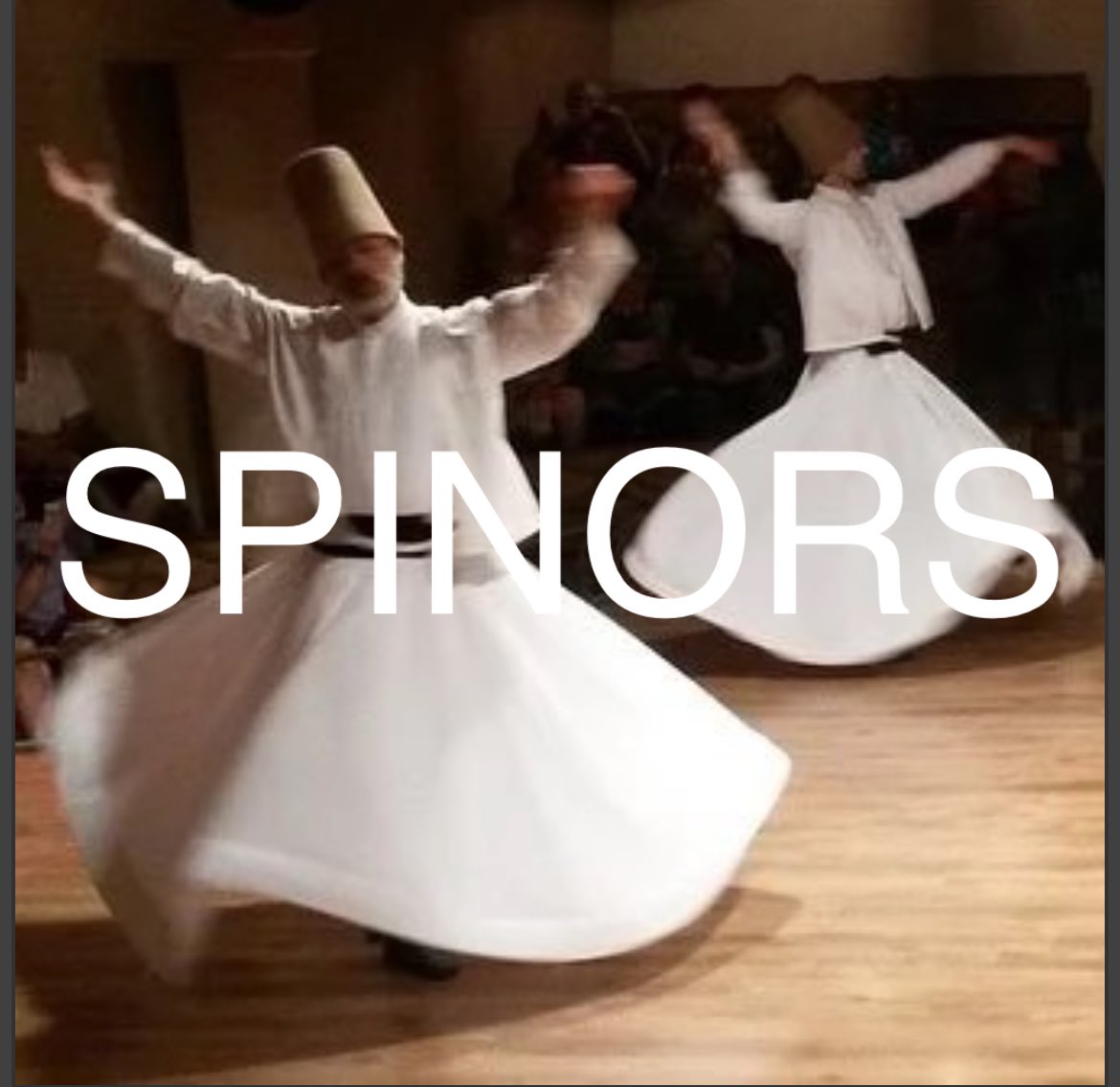 ClicksTongue's tweet image. @EricRWeinstein @lexfridman #spinors