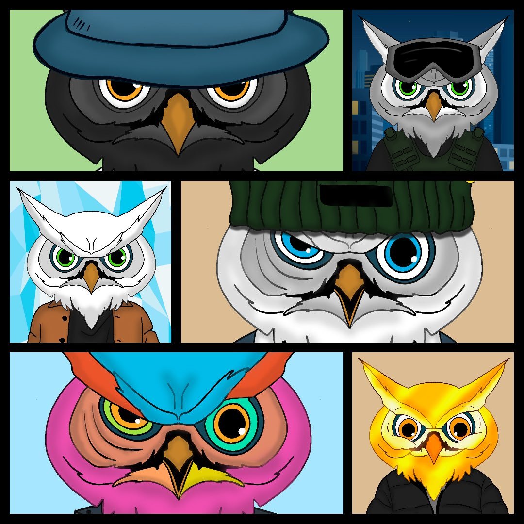 Crypto Shiller & NFT Promoter 🪲 FREE* tweet media