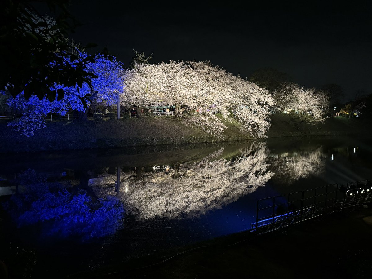 saitaman0525's tweet photo. こんな桜を一望できるグランドメゾン大手門一丁目とインターコンチレジデンスが高くなるのは至極当たり前だと改めて感じるた次第でございます。 https://t.co/ZsSROHEzjh