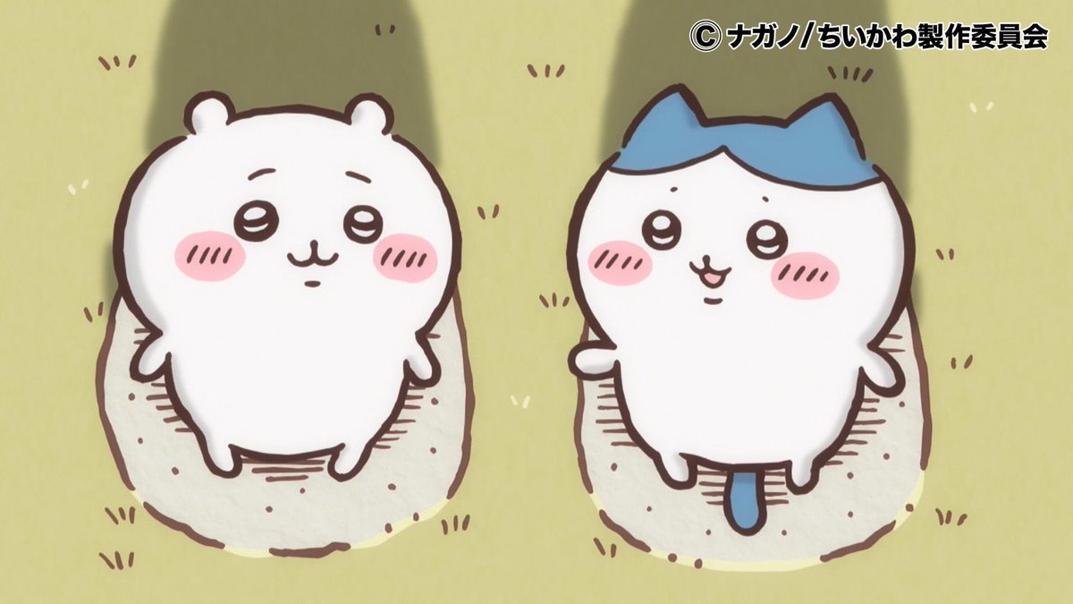 めざましテレビ on X: めざましテレビ on X: