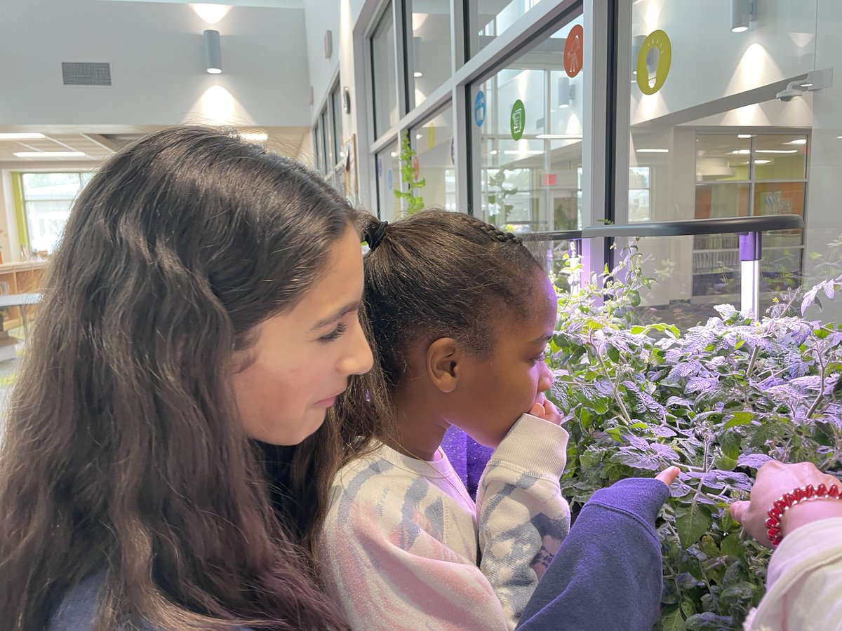 Heather Shulman (@shulmanshines) on Twitter photo We have 7 baby 🍅’s!!!! 5th grade was super excited! #GrowingReaders <a href="/HickoryRidgeES/">Hickory Ridge Elementary</a> <a href="/CabCoSchools/">Cabarrus Co. Schools</a> <a href="/NCSLMA/">NCSLMA</a> <a href="/unionpowercoop/">Union Power Cooperative</a> We have 7 baby 🍅’s!!!! 5th grade was super excited! #GrowingReaders <a href="/HickoryRidgeES/">Hickory Ridge Elementary</a> <a href="/CabCoSchools/">Cabarrus Co. Schools</a> <a href="/NCSLMA/">NCSLMA</a> <a href="/unionpowercoop/">Union Power Cooperative</a>