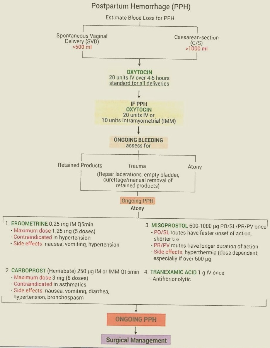 majedalhoriby's tweet photo. Management of postpartum Hemorrhage PPH🥰👇 https://t.co/HsehH9kXGx