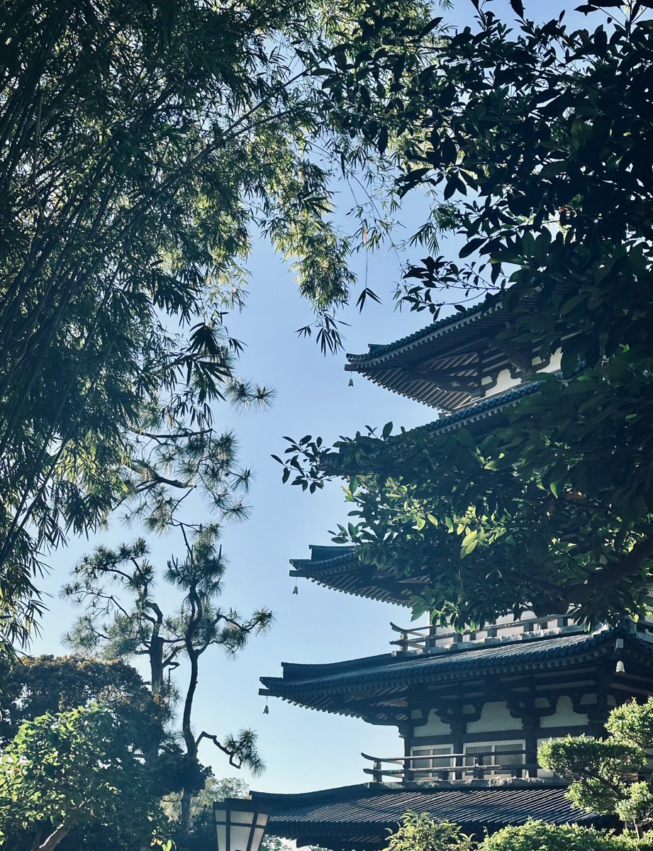 Инадзума шайнс итернал.